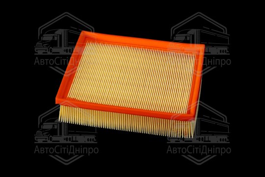 Фільтр повітряний ExtraClean  HYUNDAI, KIA  (RIDER)