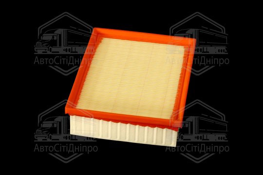 Фільтр повітряний ExtraClean  HYUNDAI, KIA  (RIDER)