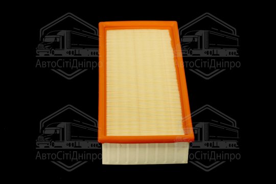 Фільтр повітряний ExtraClean  FORD  (RIDER)