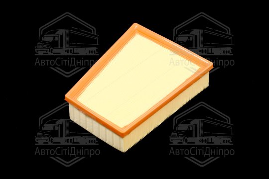 Фільтр повітряний ExtraClean  RENAULT  (RIDER)