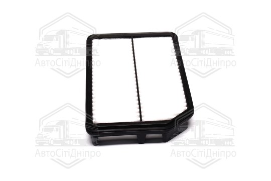 Фільтр повітряний ExtraClean  HYUNDAI, KIA  (RIDER)