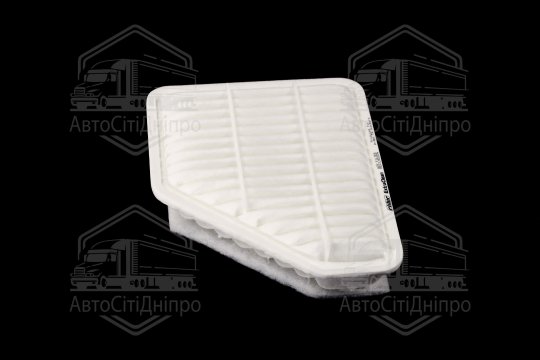 Фільтр повітряний ExtraClean  TOYOTA  (RIDER)