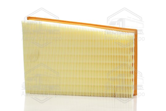 Фільтр повітряний ExtraClean  NISSAN  (RIDER)