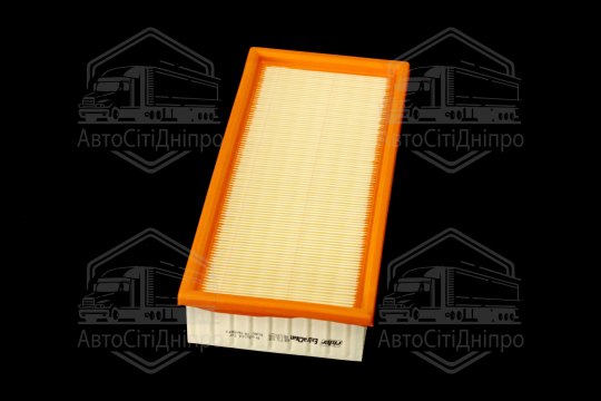 Фільтр повітряний ExtraClean  BMW  (RIDER)