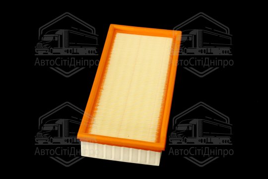 Фільтр повітряний ExtraClean  BMW  (RIDER)