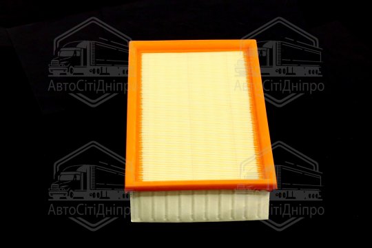 Фільтр повітряний ExtraClean  FORD  (RIDER)