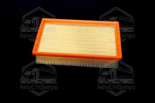 Фільтр повітряний ExtraClean  FORD  (RIDER)