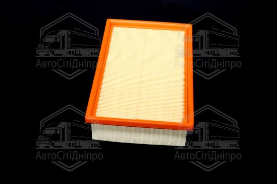 Фільтр повітряний ExtraClean  FORD  (RIDER)