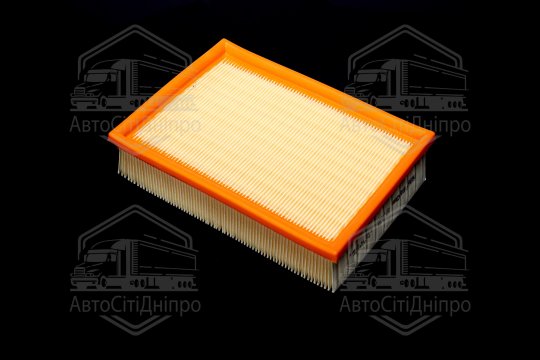 Фільтр повітряний ExtraClean  BMW  (RIDER)