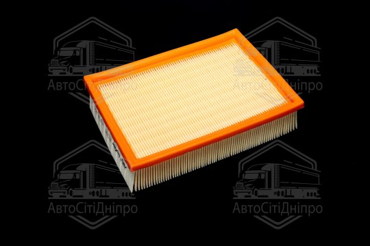 Фільтр повітряний ExtraClean  BMW  (RIDER)