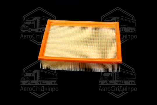 Фільтр повітряний ExtraClean  BMW  (RIDER)