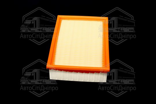 Фільтр повітряний ExtraClean  BMW  (RIDER)