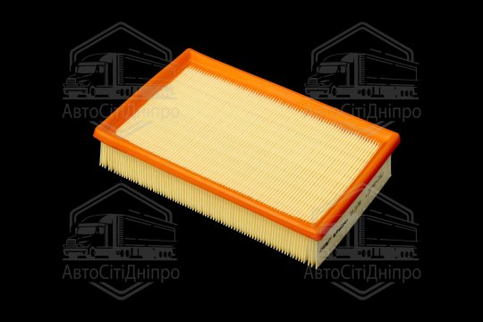 Фільтр повітряний ExtraClean  FORD  (RIDER)