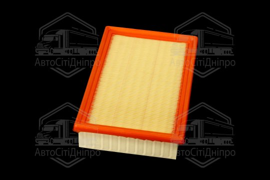 Фільтр повітряний ExtraClean  FORD  (RIDER)