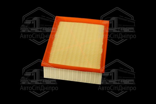 Фільтр повітряний ExtraClean  VAG (RIDER)