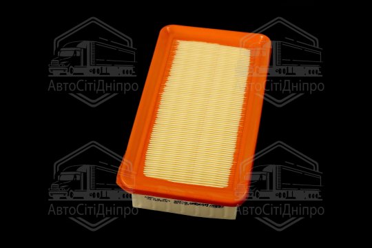 Фільтр повітряний ExtraClean  HYUNDAI, KIA  (RIDER)