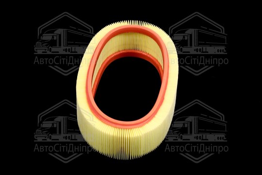 Фільтр повітряний ExtraClean  DACIA (RIDER)