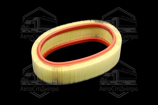 Фільтр повітряний ExtraClean  DACIA (RIDER)