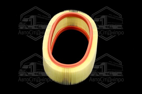 Фільтр повітряний ExtraClean  DACIA (RIDER)