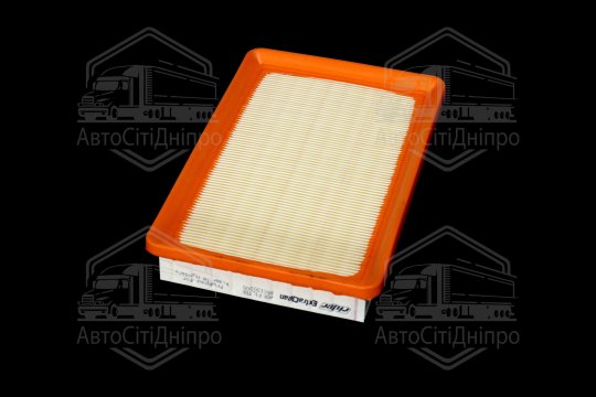 Фільтр повітряний ExtraClean  HYUNDAI, KIA  (RIDER)