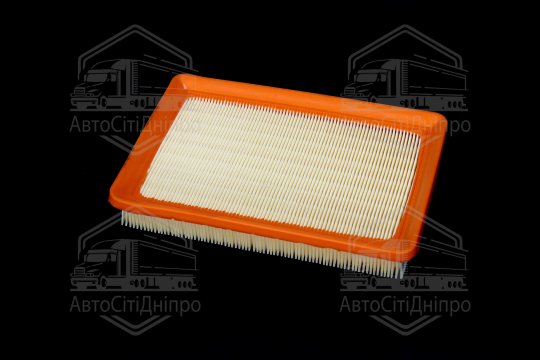 Фільтр повітряний ExtraClean  HYUNDAI, KIA  (RIDER)