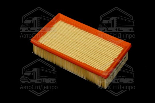 Фільтр повітряний ExtraClean  NISSAN  (RIDER)