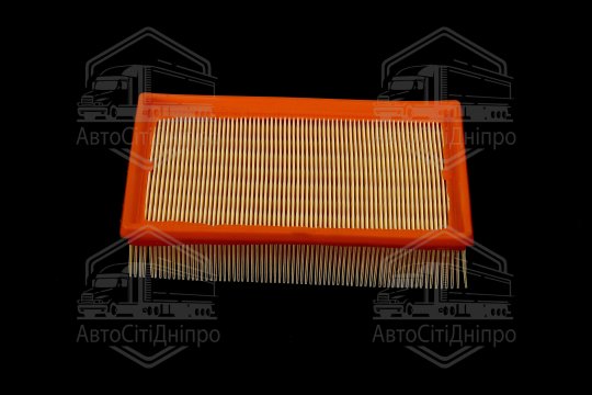 Фільтр повітряний ExtraClean  NISSAN  (RIDER)