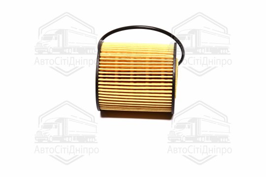 Фільтр оливний ExtraClean  BMW  (RIDER)