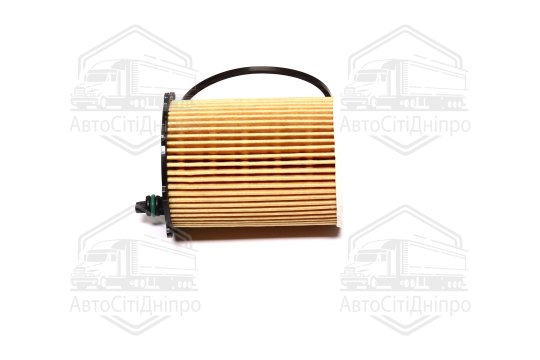 Фільтр оливний ExtraClean  FORD  (RIDER)