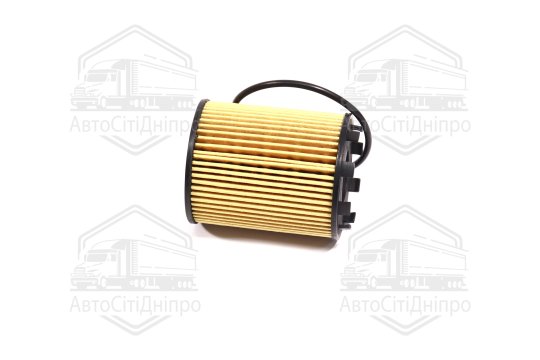 Фільтр оливний ExtraClean  FIAT OPEL  (RIDER)