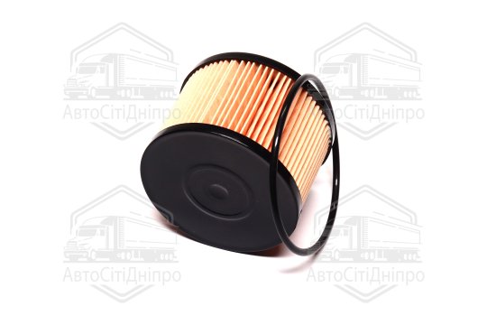 Фільтр паливний ExtraClean  RENAULT  (RIDER)