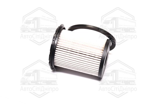 Фільтр паливний ExtraClean  RENAULT  (RIDER)