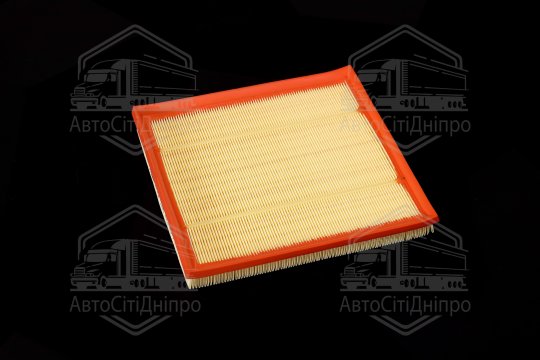 Фільтр повітряний ExtraClean  BMW  (RIDER)