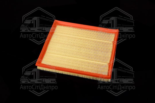 Фільтр повітряний ExtraClean  BMW  (RIDER)