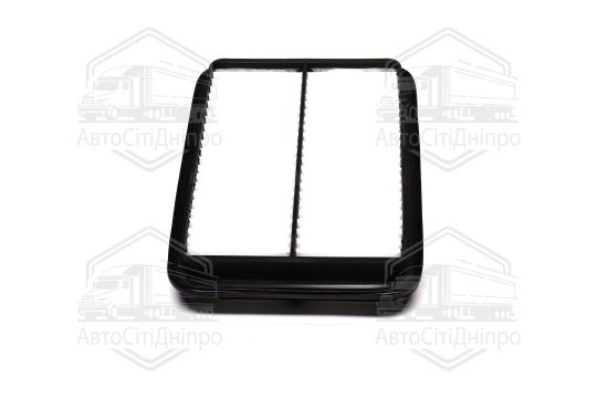 Фільтр повітряний ExtraClean  TOYOTA  (RIDER)