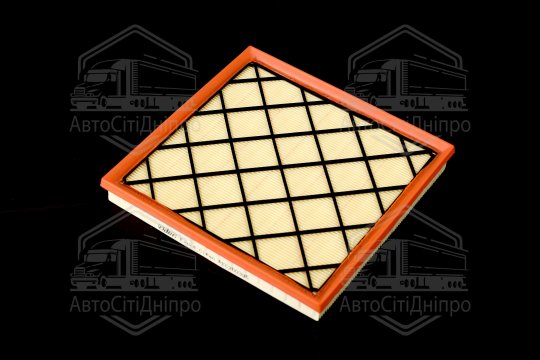 Фільтр повітряний ExtraClean  CHEVROLET  (RIDER)