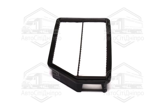 Фільтр повітряний ExtraClean  HYUNDAI, KIA  (RIDER)