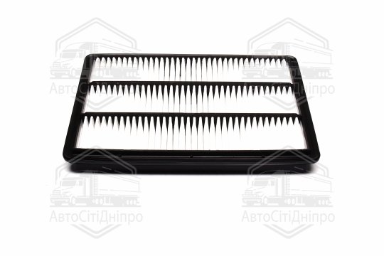 Фільтр повітряний ExtraClean  MITSUBISHI  (RIDER)