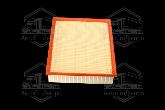 Фільтр повітряний ExtraClean  MERCEDES (RIDER)