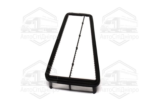 Фільтр повітряний ExtraClean  TOYOTA  (RIDER)