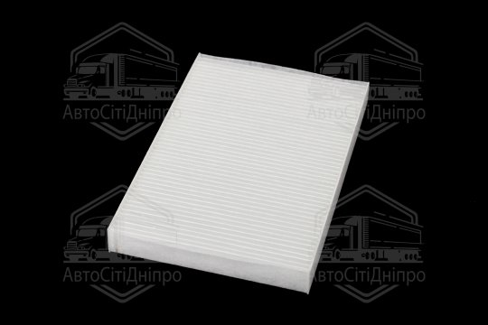 Фільтр салону ExtraClean  IVECO  (RIDER)
