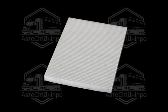 Фільтр салону ExtraClean  RENAULT (RIDER)