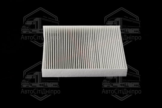 Фільтр салону ExtraClean  RENAULT   (RIDER)