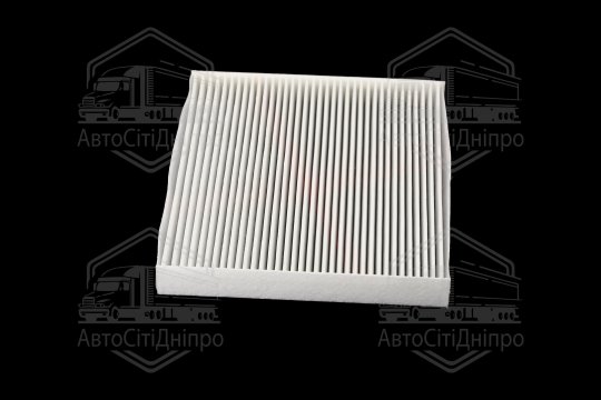 Фільтр салону ExtraClean  HYUNDAI, KIA (RIDER)