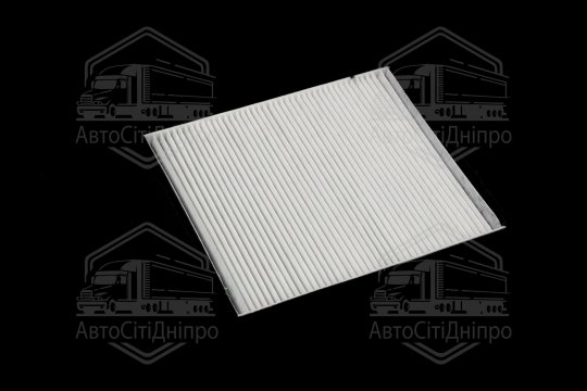 Фільтр салону ExtraClean  HYUNDAI, KIA (RIDER)