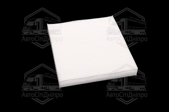 Фільтр салону ExtraClean  NISSAN  (RIDER)