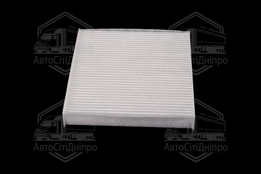 Фільтр салону ExtraClean  NISSAN  (RIDER)