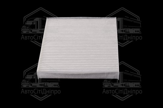 Фільтр салону ExtraClean  NISSAN  (RIDER)