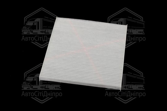 Фільтр салону ExtraClean  HYUNDAI, KIA (RIDER)