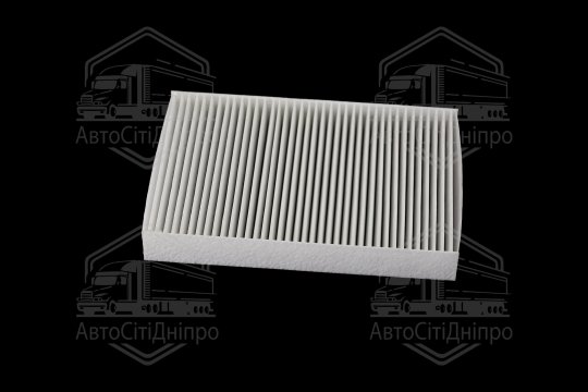 Фільтр салону ExtraClean  DACIA  (RIDER)